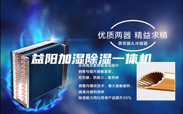 益陽(yáng)加濕除濕一體機(jī)