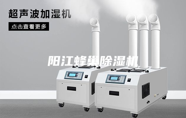 陽江蜂巢除濕機(jī)