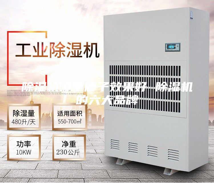 除濕機(jī)哪個(gè)牌子效果好 除濕機(jī)的六大品牌