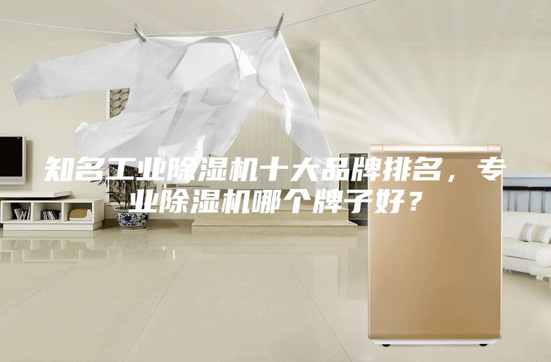 知名工業(yè)除濕機十大品牌排名，專業(yè)除濕機哪個牌子好？