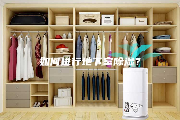 如何進行地下室除濕?