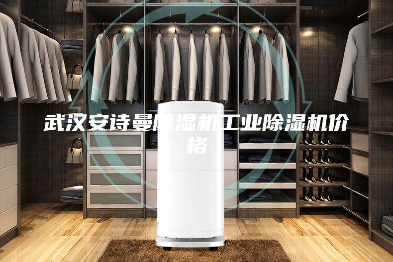 武漢安詩曼除濕機工業(yè)除濕機價格