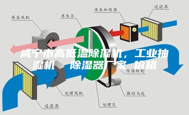 咸寧市高低溫除濕機，工業抽濕機  除濕器廠家 價格