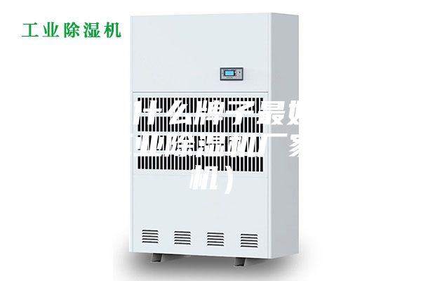除濕機什么牌子最好(安詩曼工業除濕機廠家除濕機)