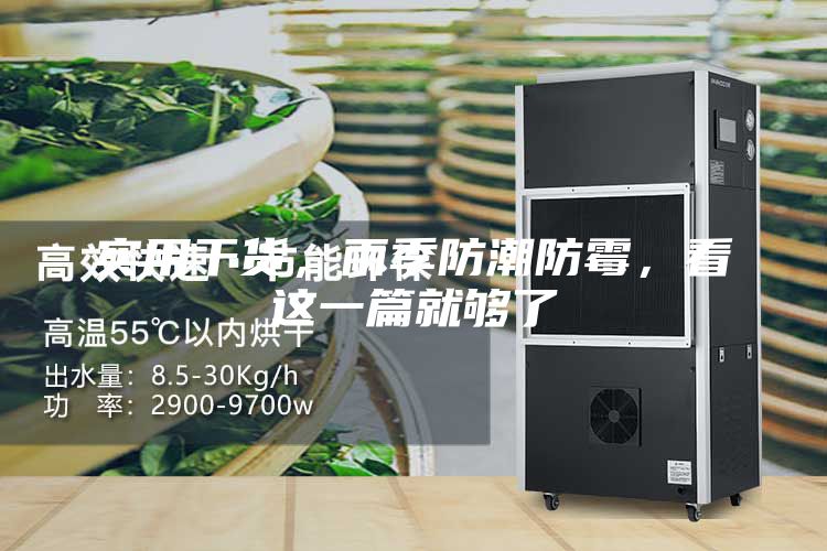 實(shí)用干貨，雨季防潮防霉，看這一篇就夠了