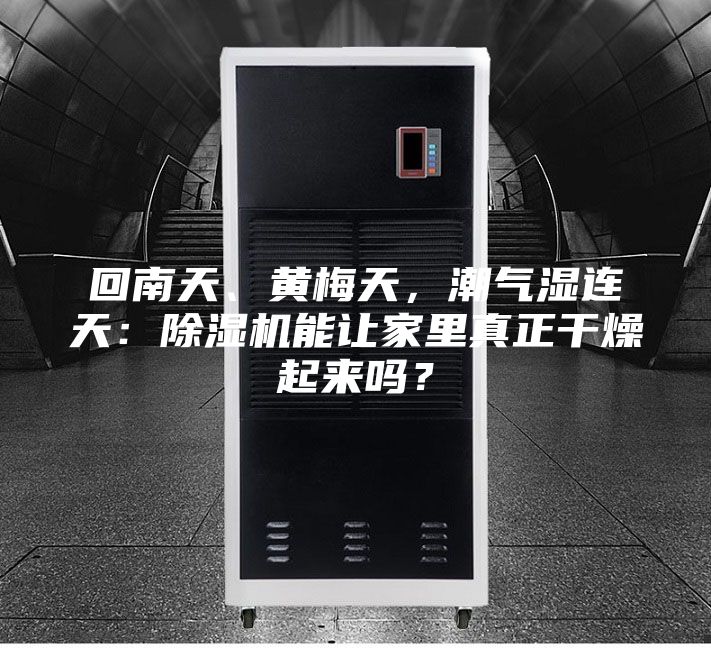 回南天、黃梅天,潮氣濕連天:除濕機(jī)能讓家里真正干燥起來(lái)嗎?