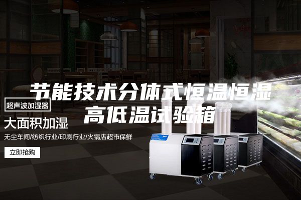 節(jié)能技術(shù)分體式恒溫恒濕高低溫試驗(yàn)箱