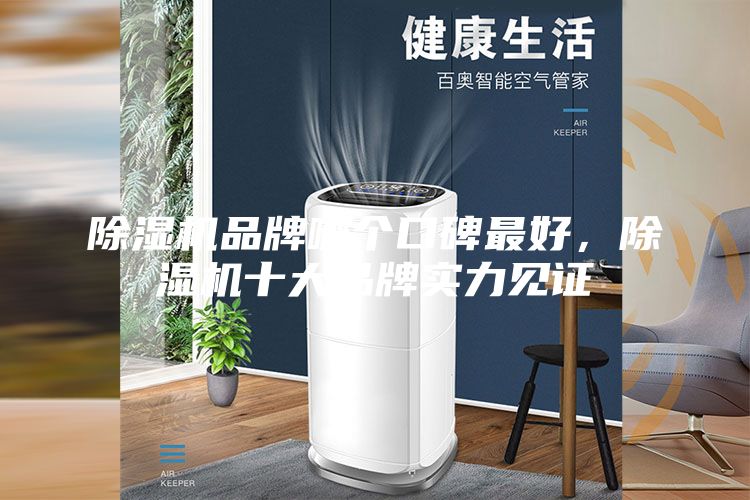 除濕機品牌哪個口碑最好，除濕機十大品牌實力見證