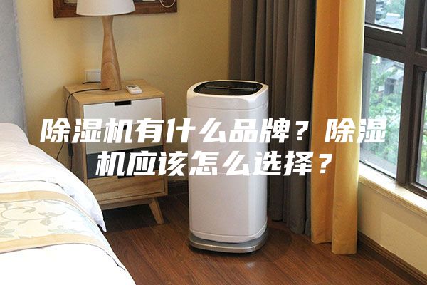除濕機(jī)有什么品牌？除濕機(jī)應(yīng)該怎么選擇？
