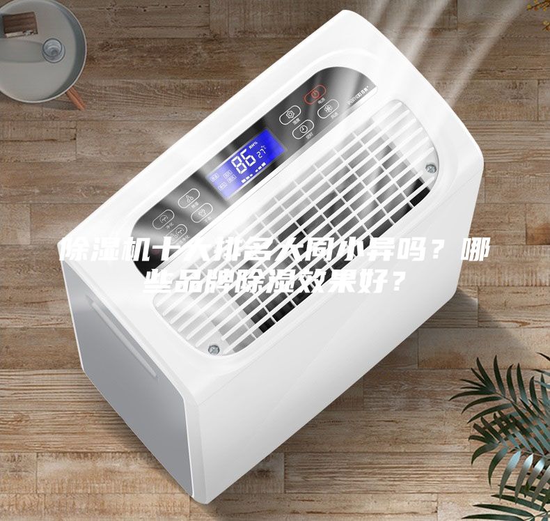 除濕機十大排名大同小異嗎？哪些品牌除濕效果好？