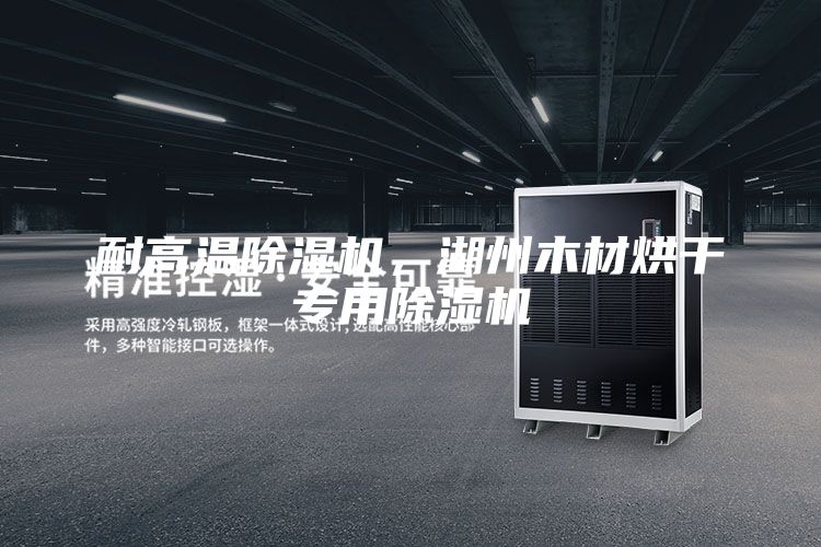 耐高溫除濕機(jī)，湖州木材烘干專用除濕機(jī)