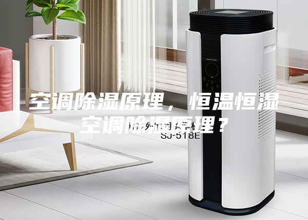 空調(diào)除濕原理,恒溫恒濕空調(diào)除濕原理?