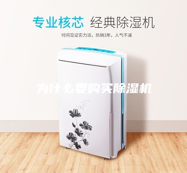 為什么要購買除濕機(jī)