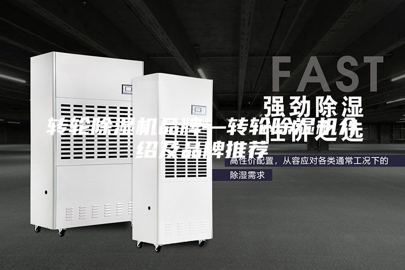 轉(zhuǎn)輪除濕機品牌—轉(zhuǎn)輪除濕機介紹及品牌推薦