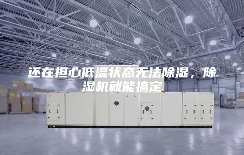 還在擔心低溫狀態無法除濕，除濕機就能搞定