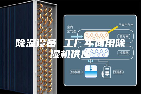 除濕設備 工廠車間用除濕機供應