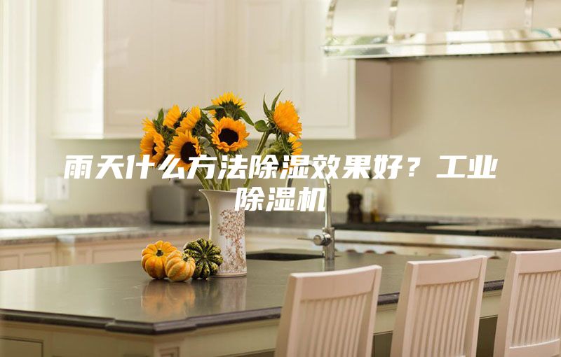 雨天什么方法除濕效果好?工業除濕機