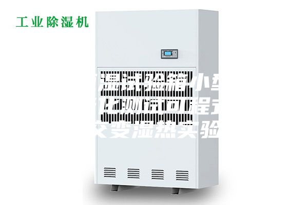 恒溫恒濕試驗箱小型低溫環(huán)境老化測試可程式高低溫交變濕熱實驗箱