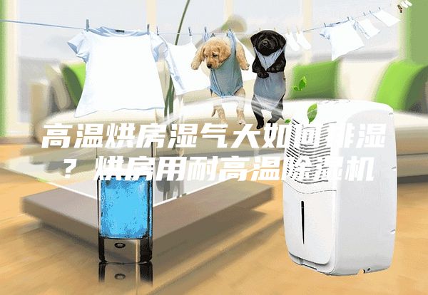 高溫烘房濕氣大如何排濕?烘房用耐高溫除濕機