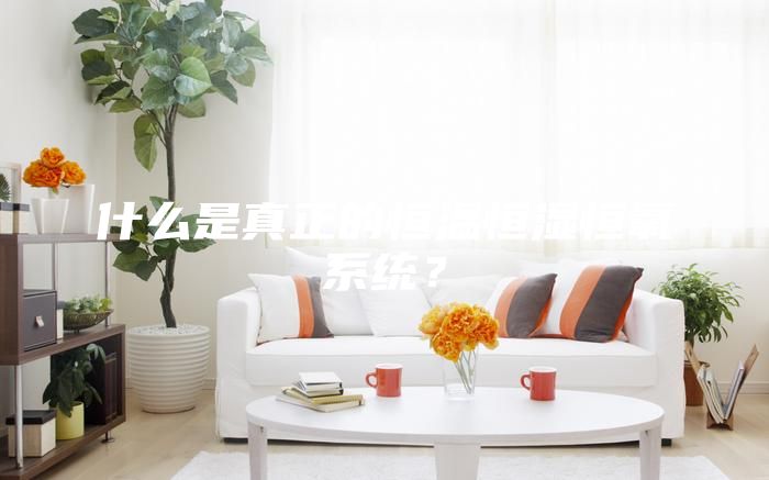 什么是真正的恒溫恒濕恒氧系統(tǒng)？