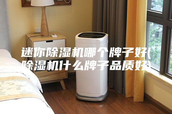 迷你除濕機哪個牌子好(除濕機什么牌子品質好)