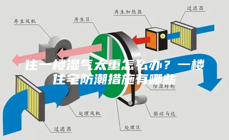 住一樓濕氣太重怎么辦？一樓住宅防潮措施有哪些