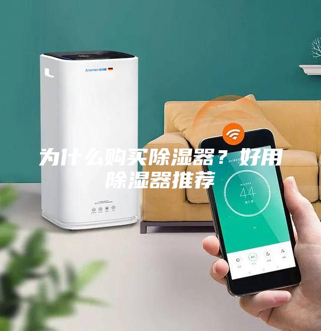 為什么購(gòu)買除濕器？好用除濕器推薦