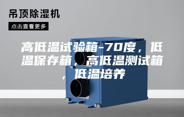 高低溫試驗箱-70度,低溫保存箱,高低溫測試箱,低溫培養