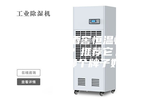 你知道進(jìn)口酒窖恒溫恒濕機(jī)的品牌嗎？推薦它。恒溫恒濕機(jī)哪個(gè)牌子好？